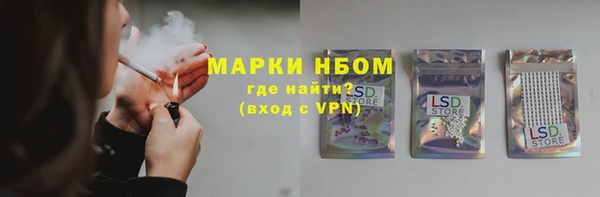 твердый Горнозаводск