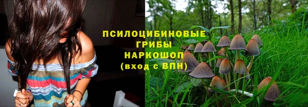 хмурый Горно-Алтайск