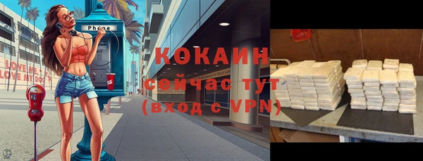 хмурый Горно-Алтайск
